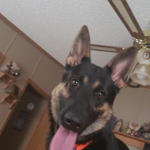 Meet your Posher, Jeri-lynn